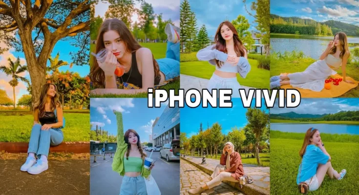 iPhone Vivid Filter For Android Download